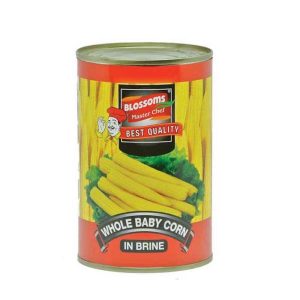 WholeBaby Corn In Brine (Veatnum) 425 gm/Can